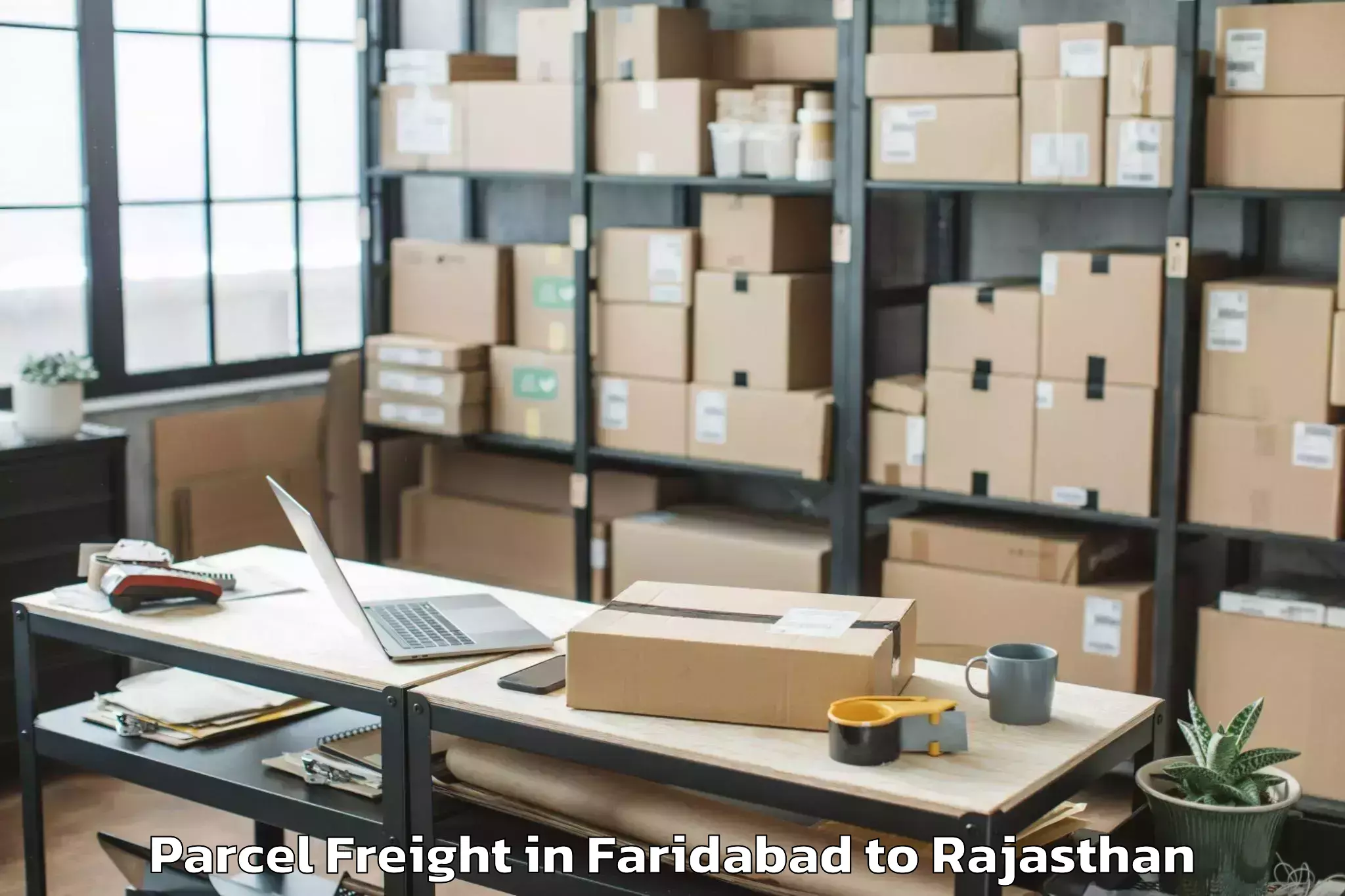 Easy Faridabad to Nokha Parcel Freight Booking